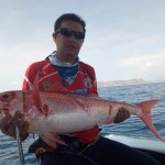 IMG-20181106-WA0009