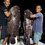 IMG-20181208-WA0018