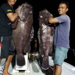 IMG-20181208-WA0021
