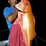 IMG-20181208-WA0025