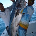 IMG-20190407-WA0029