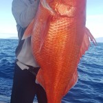 IMG-20200312-WA0007