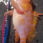 IMG-20200312-WA0017