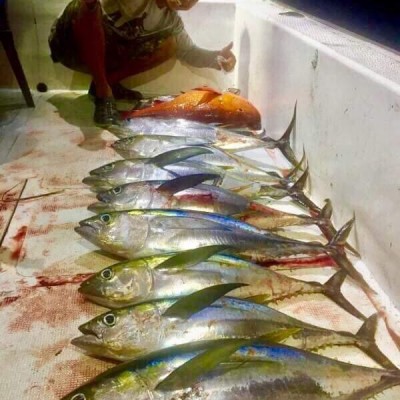Tangkapan ikan di KM Natalia7