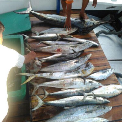 Hasil tangkapan ikan di KM Bandaneira 4