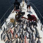 indonesia fishing 42