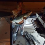 indonesia fishing 48