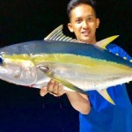 Yellowfin Tuna at Luwuk