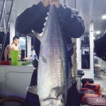 IMG-20190301-WA0009