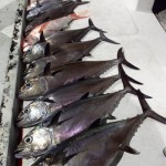 IMG-20190401-WA0041